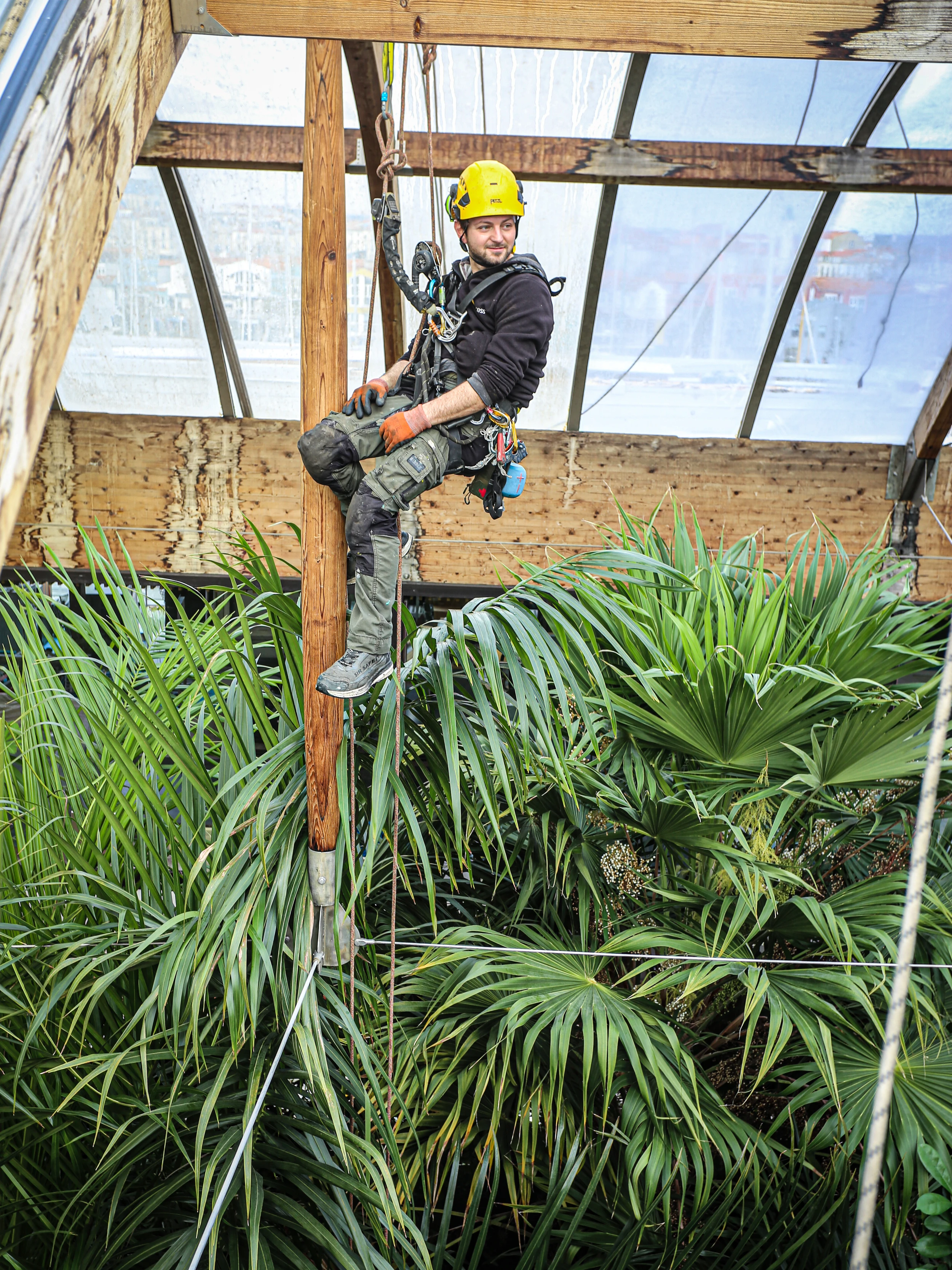 Intervention de cordistes MS Access pour même pas peur des pirahnas chez ERALU à La Rochelle (bâtiment) – 2